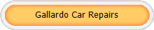Gallardo Car Repairs